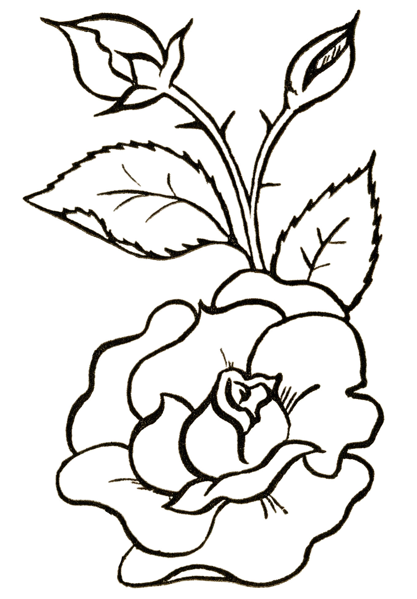 24 Flower Clipart Black And White! - The Graphics Fairy with regard to Printable Flower Clipart Black And White