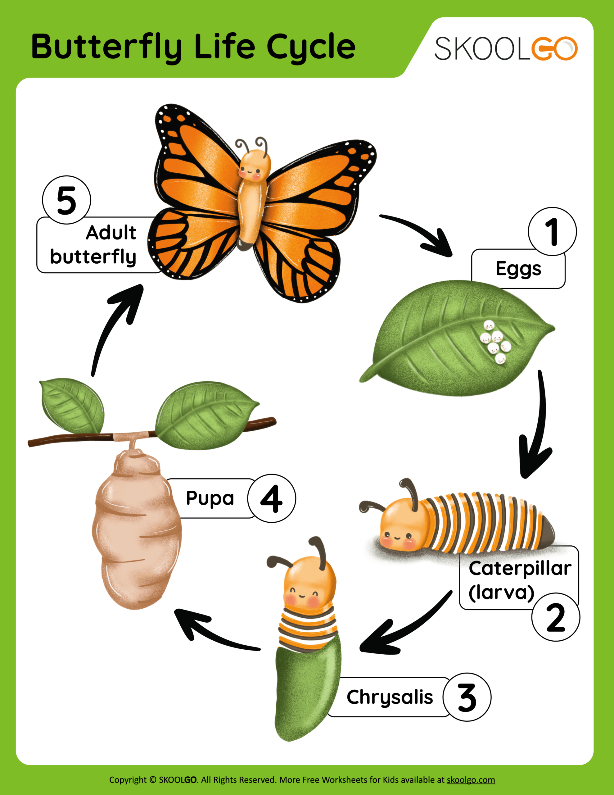 Butterfly Life Cycle - Free Worksheet - Skoolgo with regard to Free Printable Life Cycle Of A Butterfly