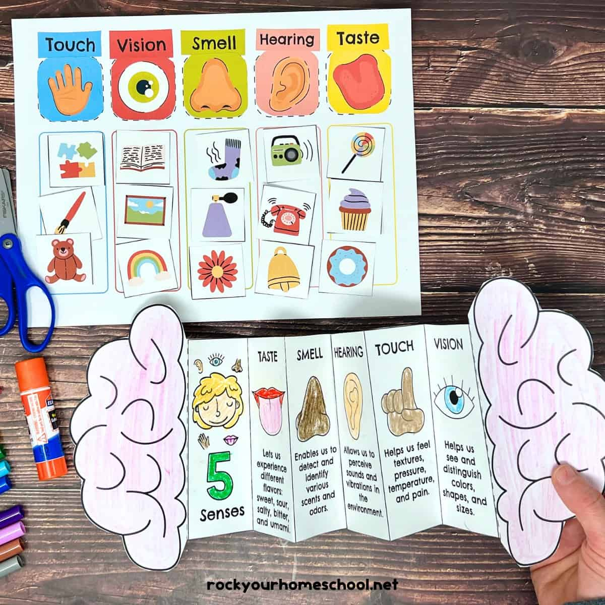 Five Senses Printables Pack For Sorting Fun And More (Free) - Rock with regard to Printable 5 Senses Art and Craft Activities