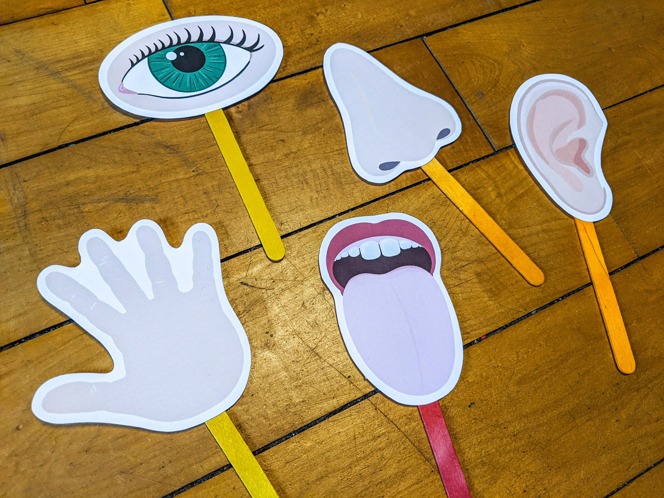 Five Senses Puppets, Craft Stick Printable Puppets, Kids Pretend regarding Printable 5 Senses Art And Craft Activities