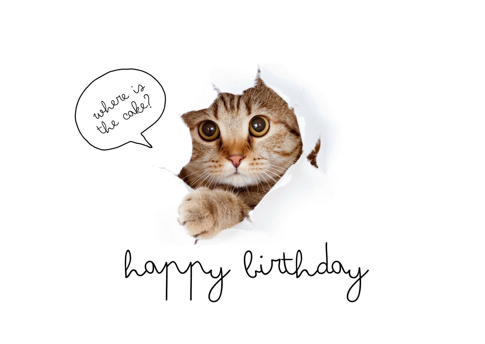Free Printable Funny Birthday Card Templates | Canva for Free Printable Birthday Cards Funny