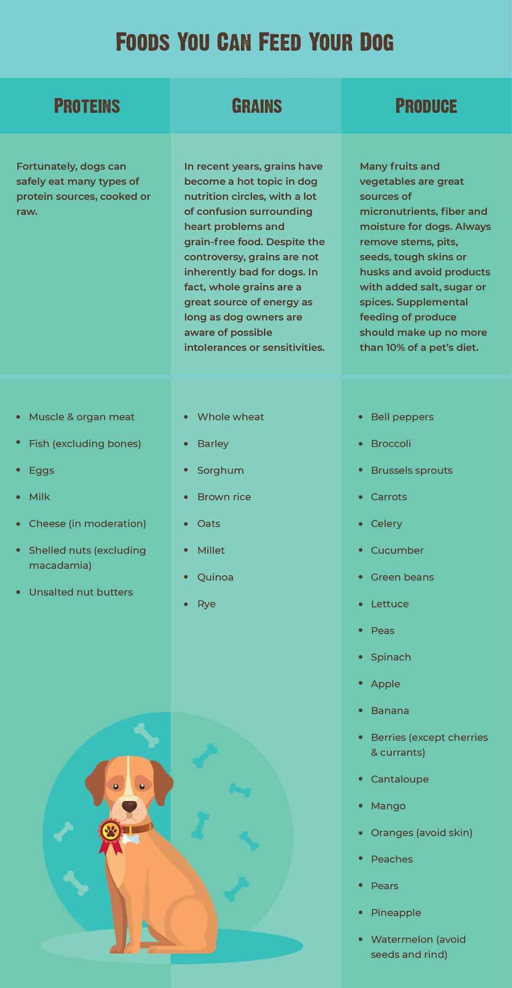 Human Foods Dogs Can And Can&amp;#039;T Eat [With Chart] - Rawz throughout Free Printable List Of Toxic Foods For Dogs