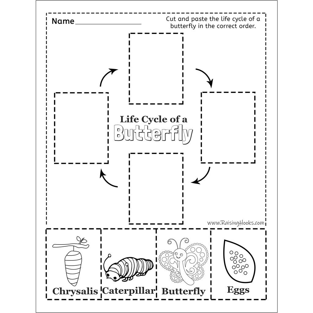 Life Cycle Of A Butterfly – Cut And Paste - Raising Hooks throughout Free Printable Life Cycle Of A Butterfly