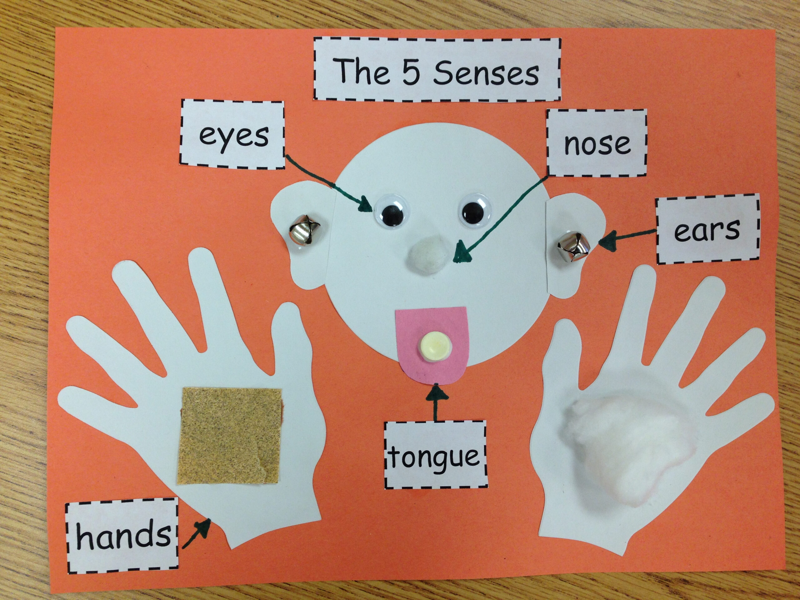 Our Five Senses Craftivity | My Very Own Circus in Printable 5 Senses Art And Craft Activities