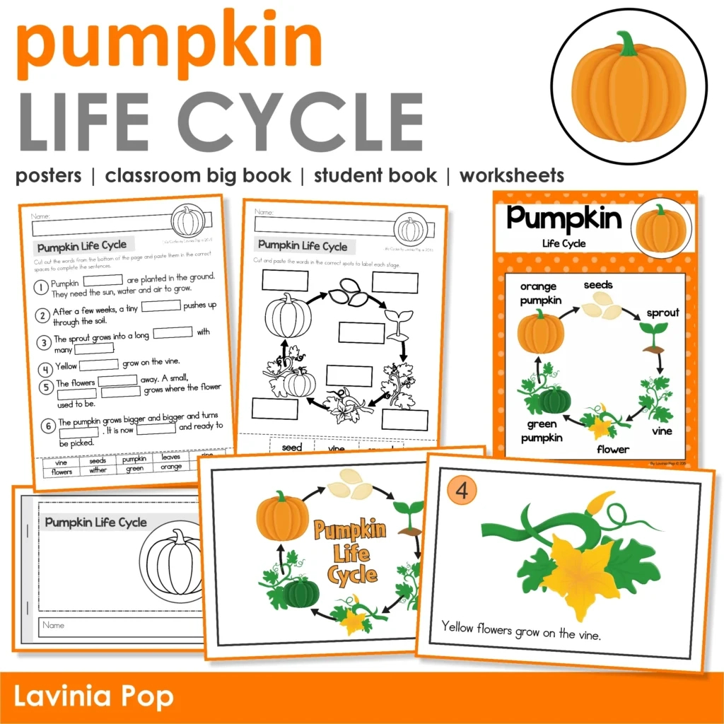 Pumpkin Life Cycle Activities For Kindergarten & 1St Grade - In My throughout Free Printable Pumpkin Life Cycle