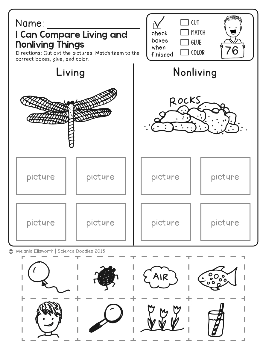 Science Worksheets, Word Lists And Activities. | Greatschools inside Printable Science Activities For Preschoolers