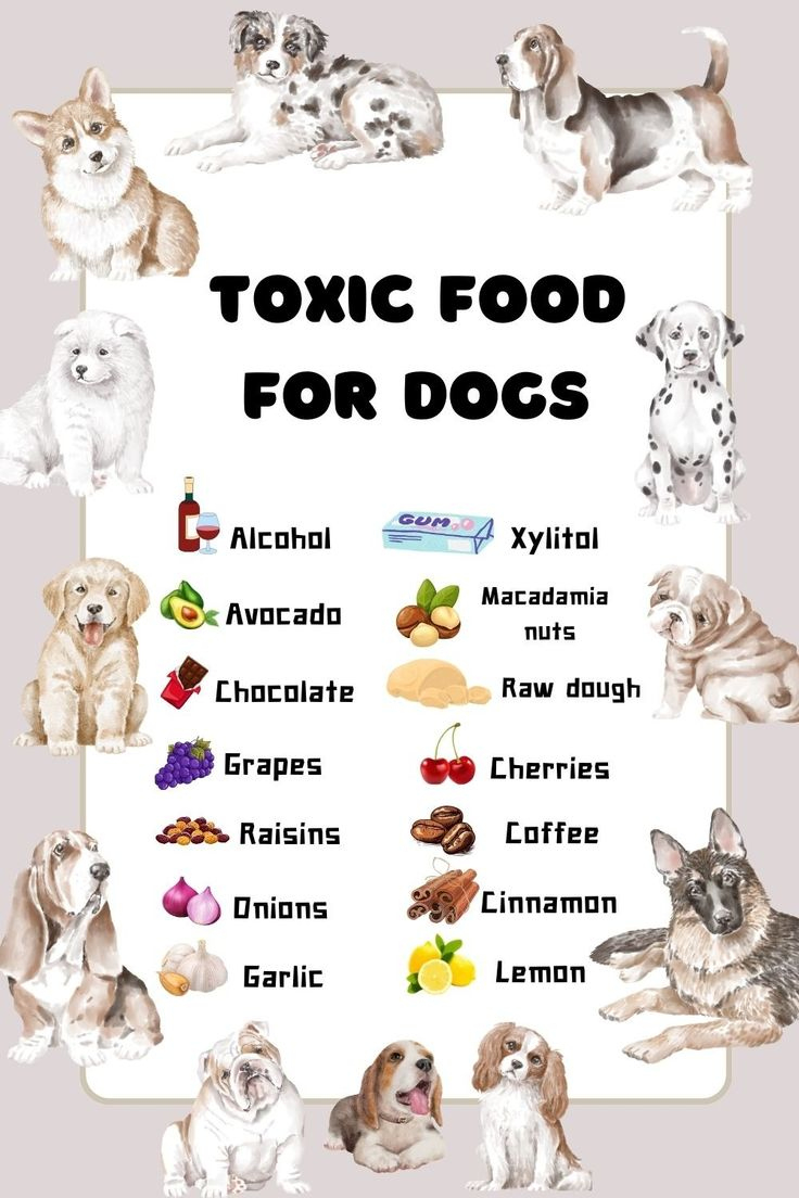 Toxic Foods For Dogs Printable for Free Printable List Of Toxic Foods For Dogs