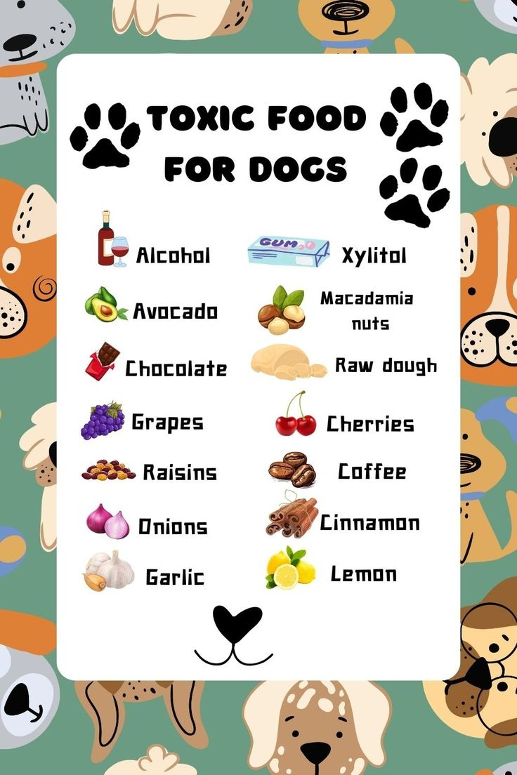 Toxic Foods For Dogs Printable inside Free Printable List of Toxic Foods For Dogs