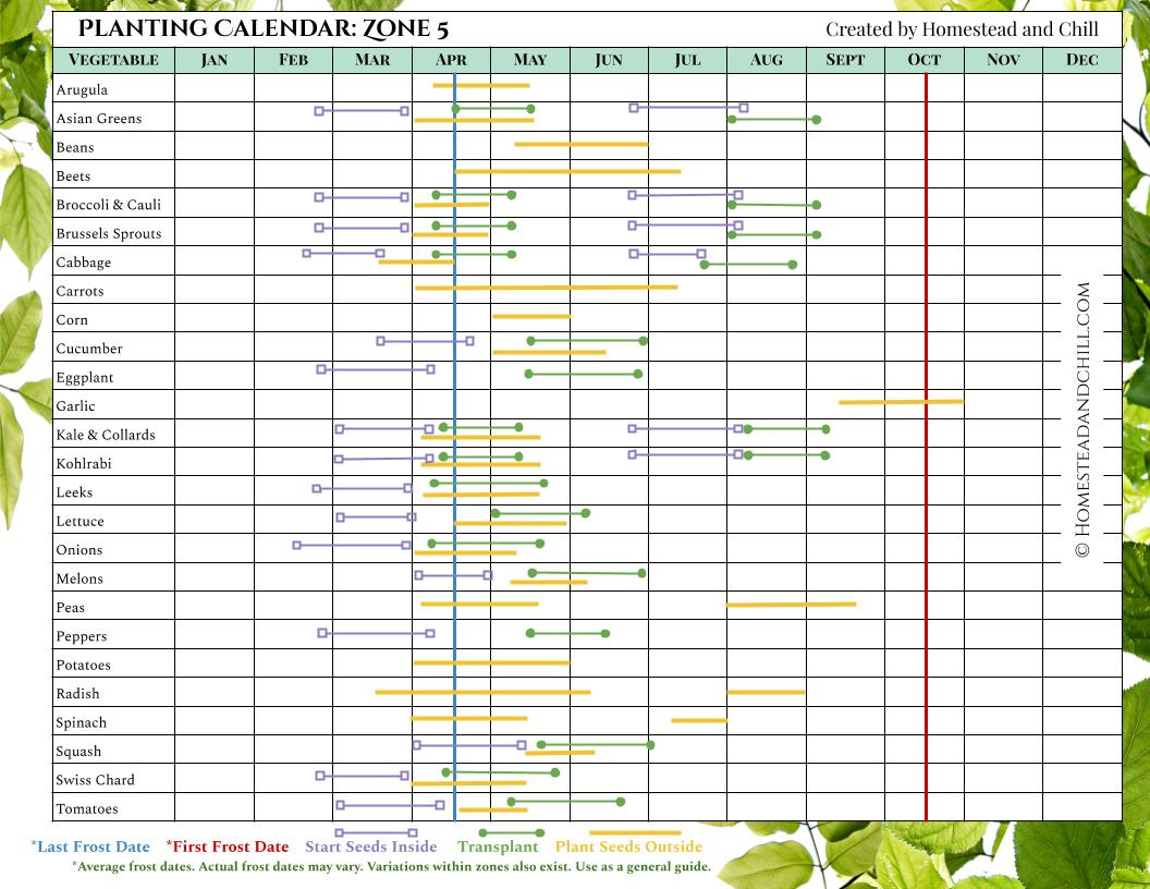 When To Start Seeds Indoors: Planting Calendars For Every Zone throughout Printable Zone 5 Planting Schedule