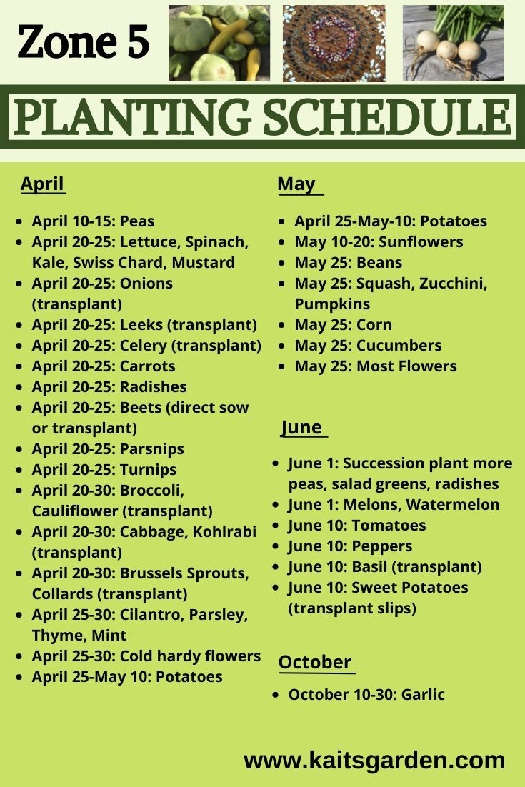 Zone 5 Planting Schedule with Printable Zone 5 Planting Schedule